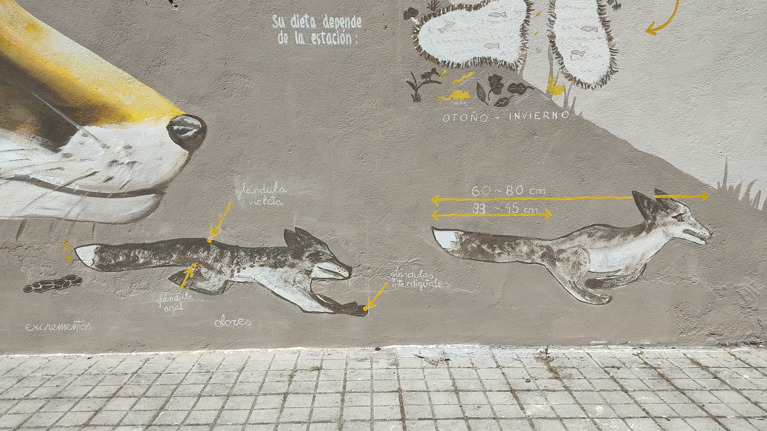 IMG_20250615_123328-min