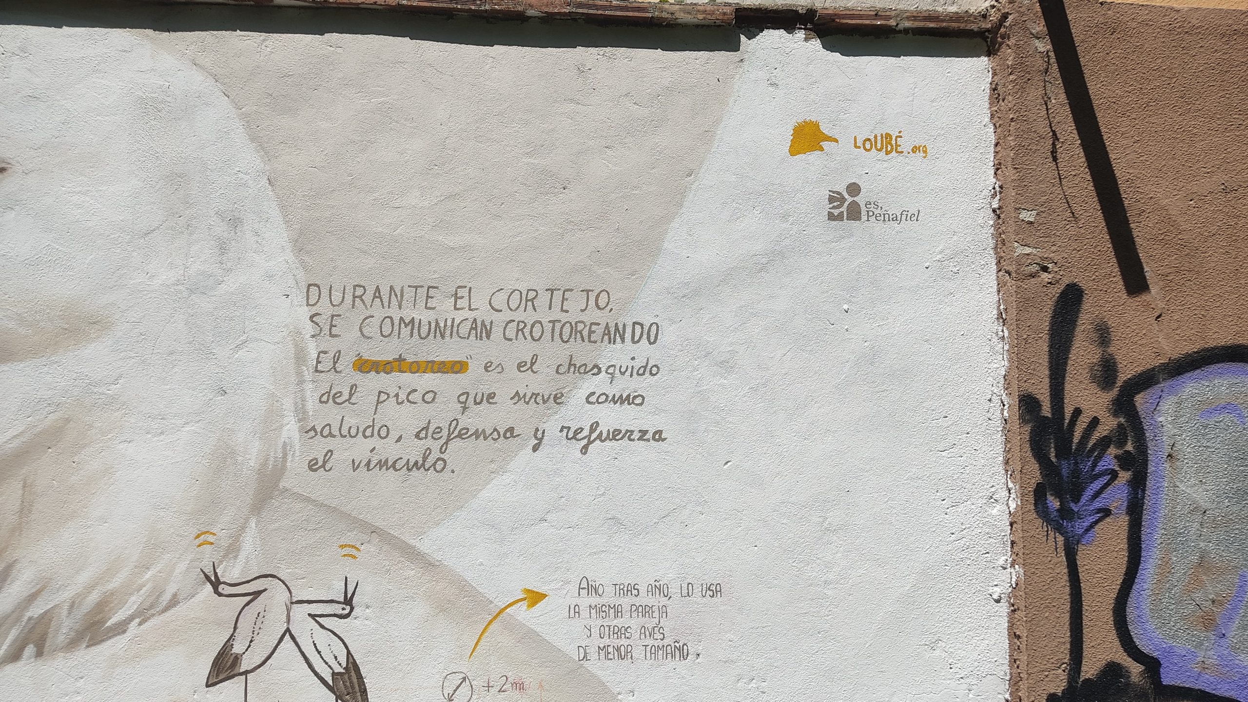 IMG_20250615_123402-min