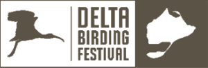 deltabirding