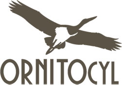 ornitocyl